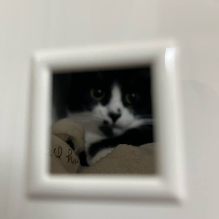 9fcfb864 a461 45d1 a455 37206ff9471a 1696341600204