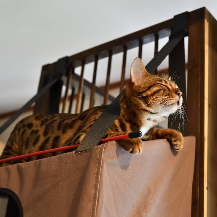 9fd00469 06c2 4028 b488 9c5daefcd55d 1510573374132