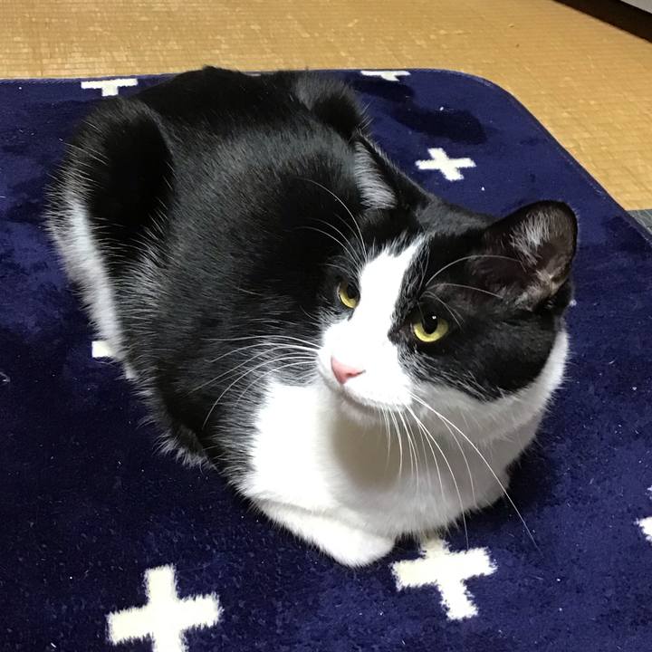 9fd03b7e b714 4fb0 906d 17e8267b5a5d 1736418292386