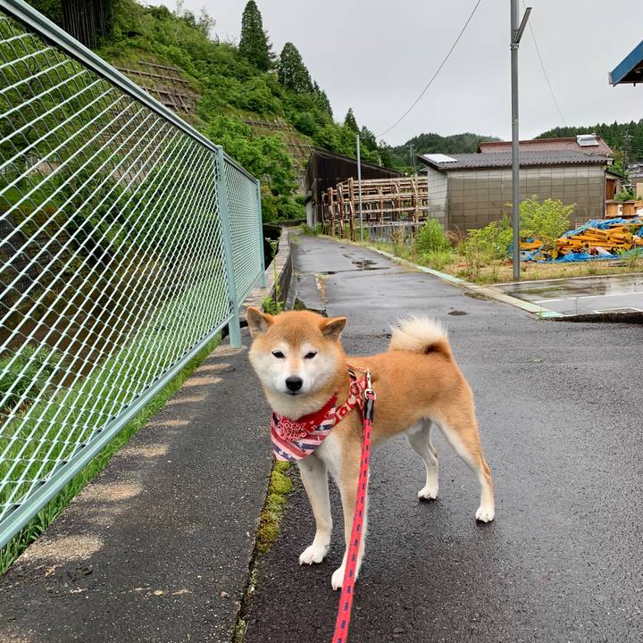 9fd05c53 1d7c 469d a80a 99112baa25d7 1591865044676