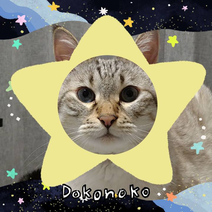 9fd08a35 eb78 4d58 a051 a3b8cfceb364 1720956657929