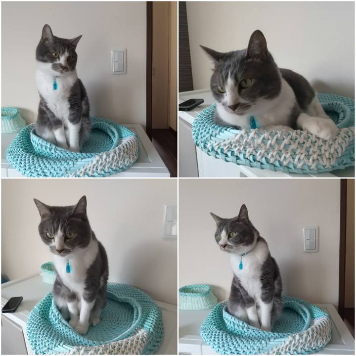 9fd0b5d9 29f2 45ee b622 746841be846c 1652220087850