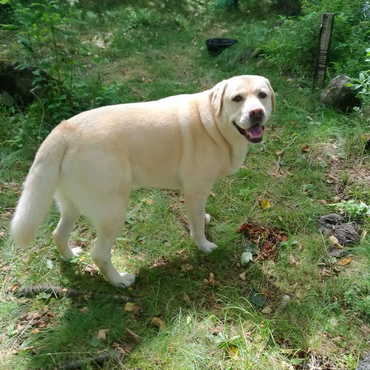 9fd10dc9 d4c1 4e49 9912 da33c25e2a3d 1628585006643