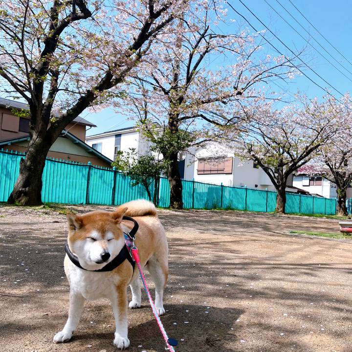 9fd13d7e 8319 4fa7 a9ae 931f2dc3938e 1713054302351