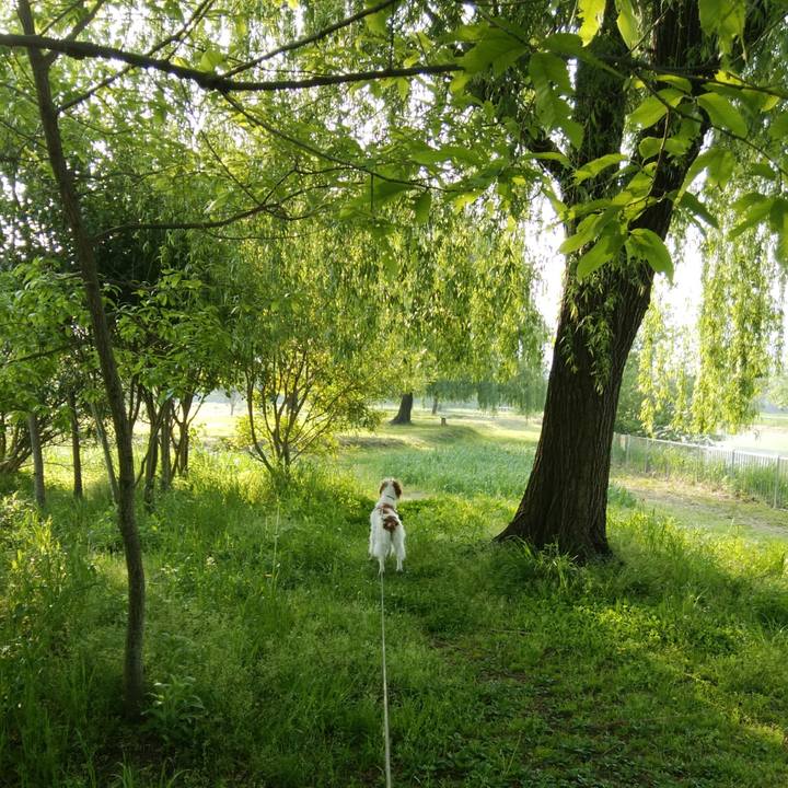 9fd1f742 15aa 4a5b bd09 ac386151034d 1524485845208