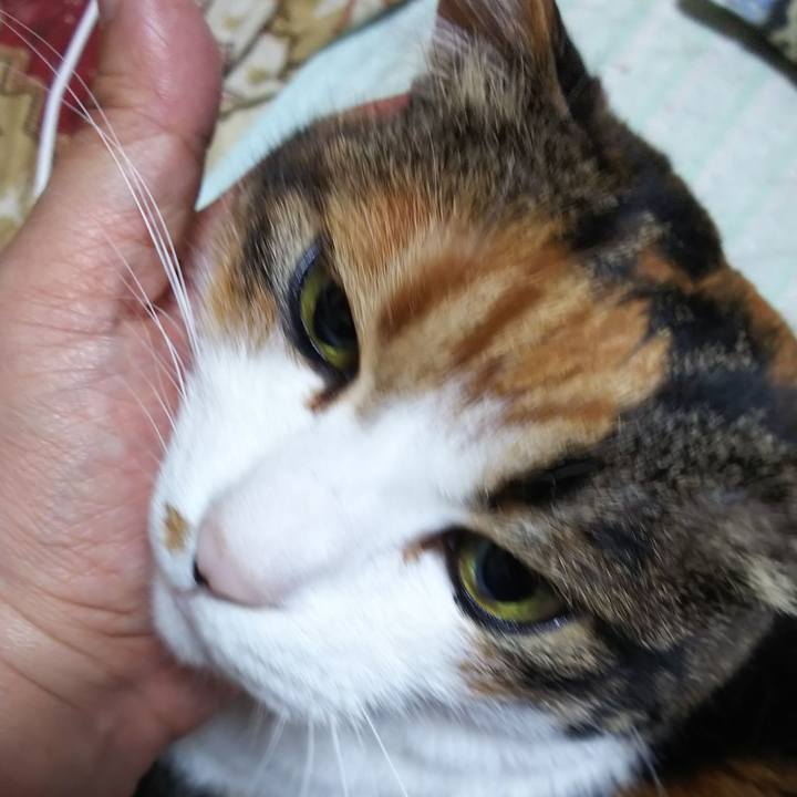 9fd2154f 0b9e 4c0a 93ae 50ca08a84ed0 1560644027050