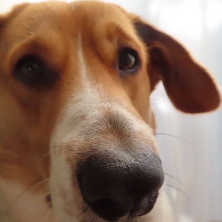 9fd226ac f00e 48d3 be5e a3e7ecf4a710 1645239445894