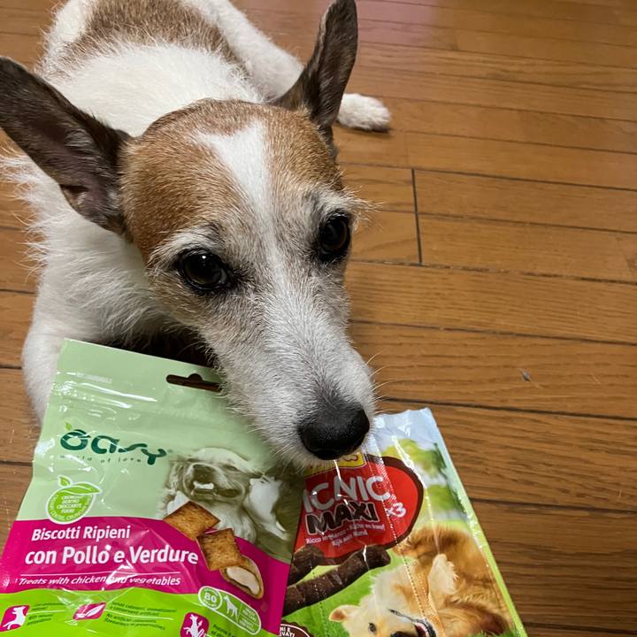 9fd33dba 15d9 454d 8682 47934570dec2 1695943379605