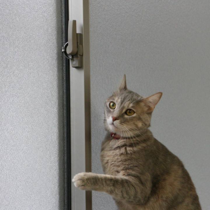 9fd3441e cfa8 4caf 9ffb 6e6e8eaadef7 1511485687360