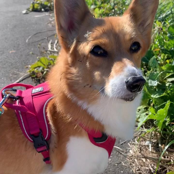 9fd39ffc 8aae 4a3c 8a68 4bbfe3cdcbf1 1637719025409