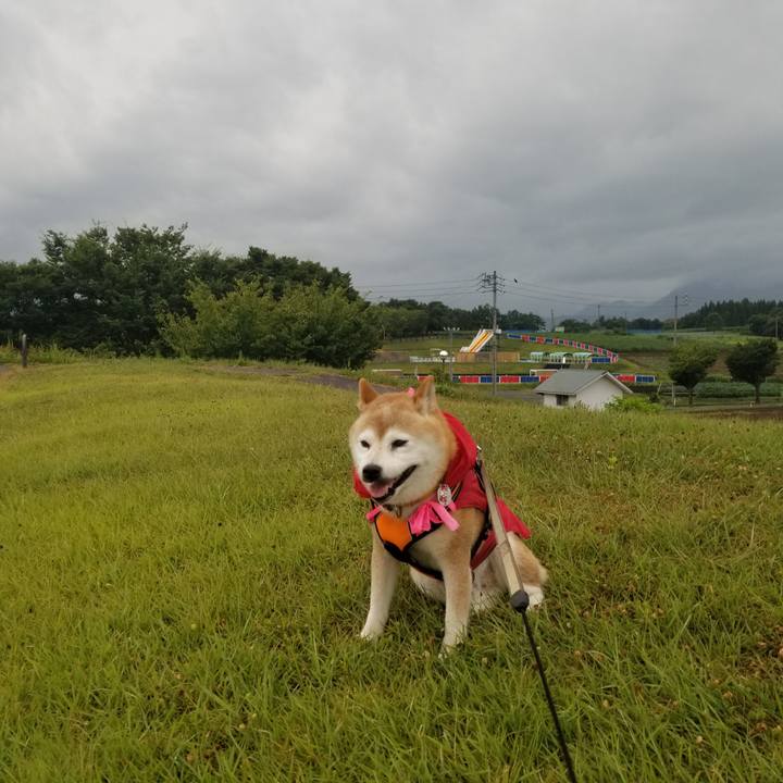 9fd3a78d 34fc 488f 849c 7e481bfd0260 1692257746928