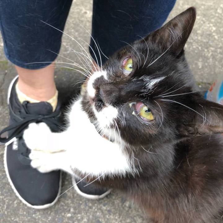 9fd3bd30 9c13 49a2 937d e35e9c9a15fe 1625403811811