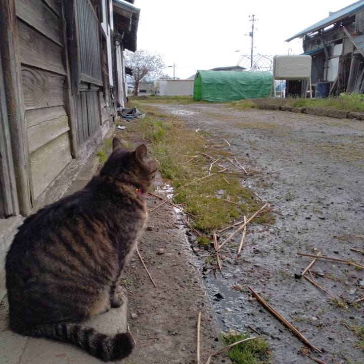 9fd3e28b 0afe 40d8 8f20 df2b138e66b5 1681861650875