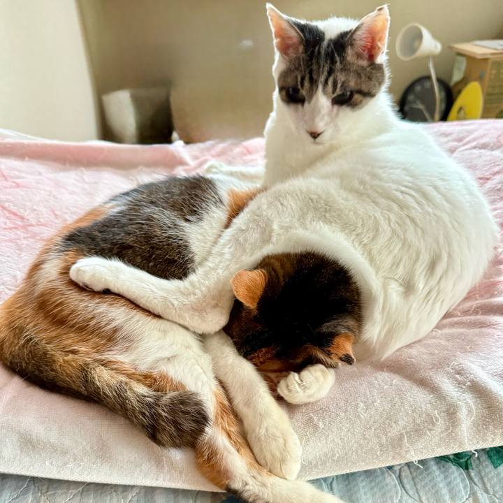 9fd407fe 5b2c 4f8e 8dfc 2f4fb5584750 1748651922784