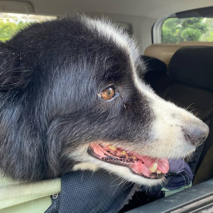 9fd43b1b d075 4e36 b59c 96e38fbacd0b 1660774452707