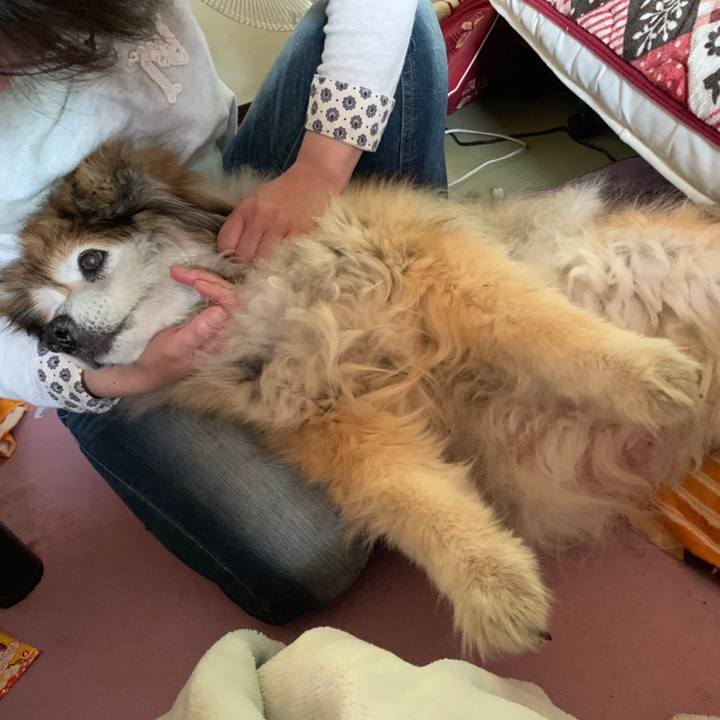 9fd447ba c4c4 4b8a 8702 65ebad2d9da5 1662761546280