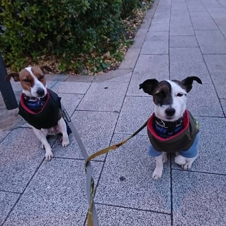 9fd458b0 9323 4013 ab9d 11be3782c9ab 1546897779254