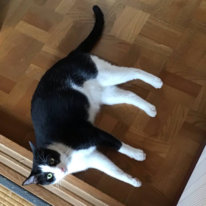 9fd47525 733e 45d5 9335 ba024537c599 1691324672186