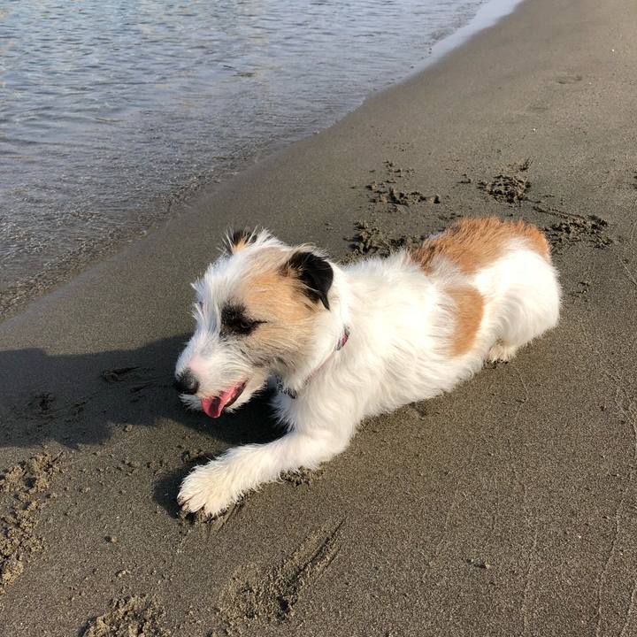 9fd4c39b 9317 4b22 b53c f2388b876808 1526425004202