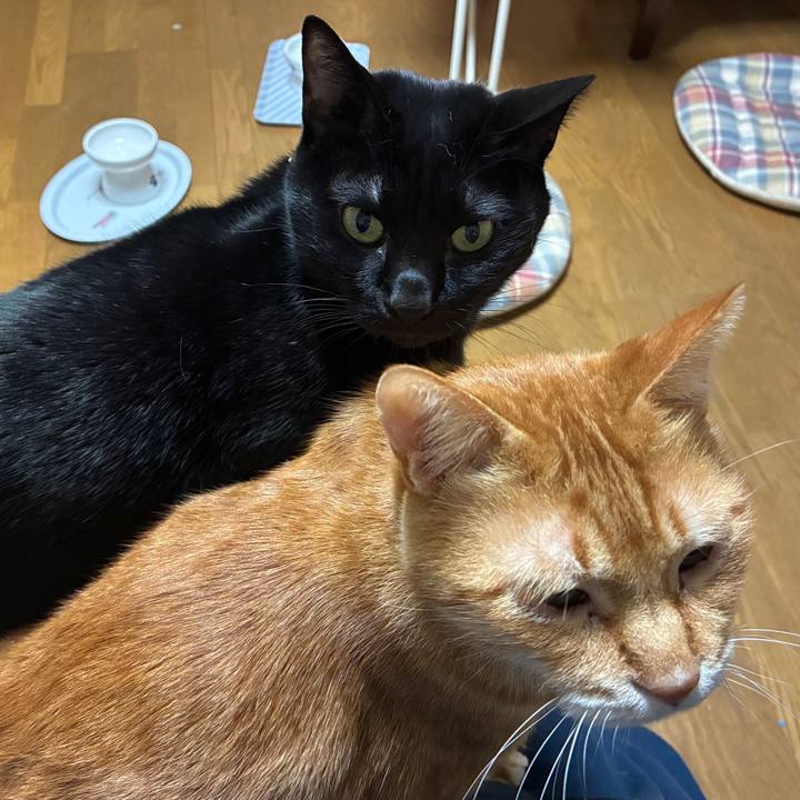 9fd4f28c c535 4676 bb15 5b4311b77933 1764241553238