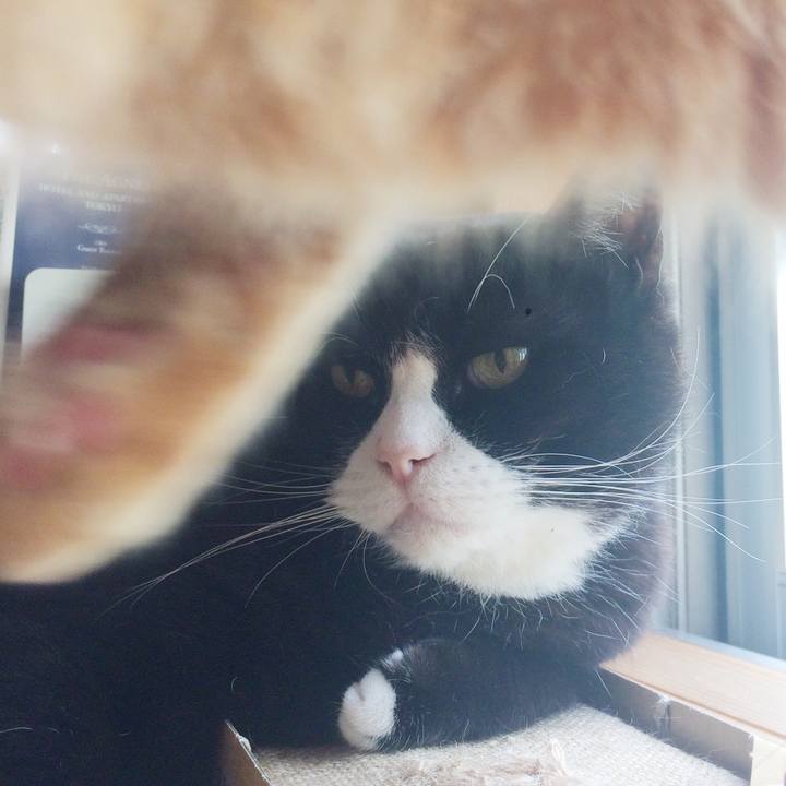 9fd4fe42 2067 4d4c 80a7 6192b16880df 1527290018656