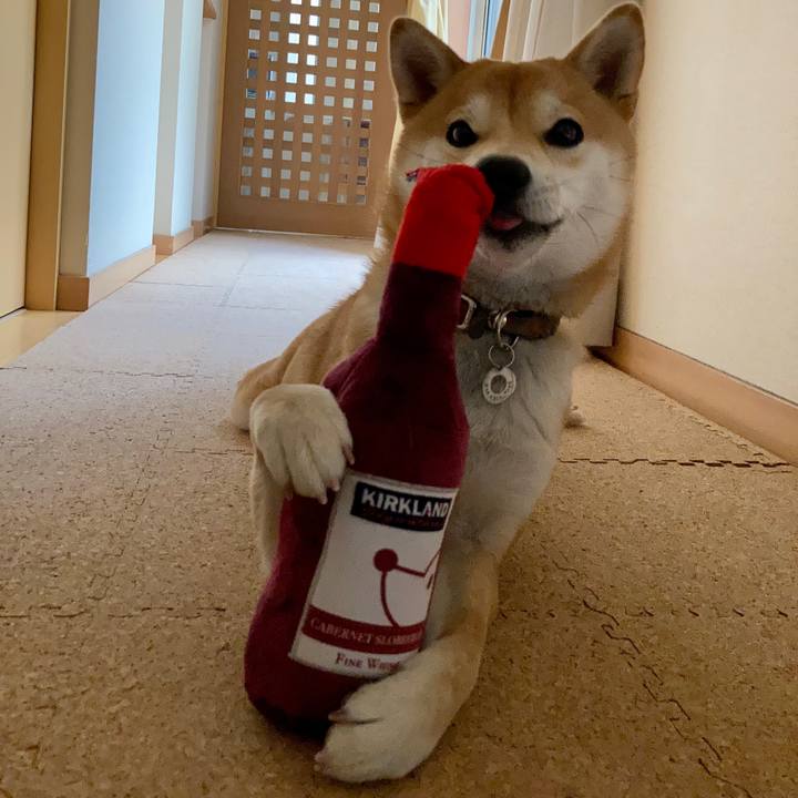 9fd50d4e ca19 4727 887d f96c59da2929 1643072746498