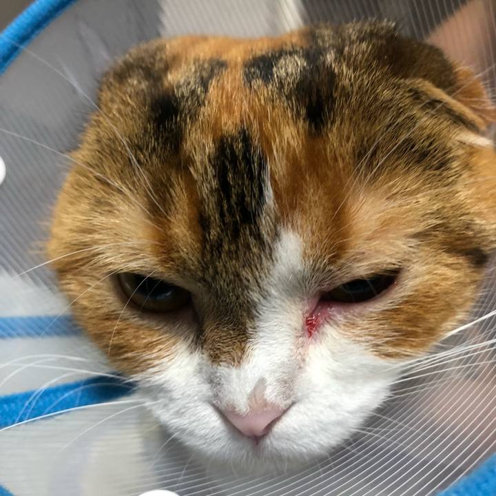 9fd531f4 f78e 4876 974f e3102d47de93 1534504238922