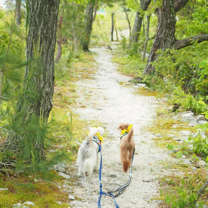 9fd558eb d1d1 454c ab47 c6ef69ab2666 1524634282462