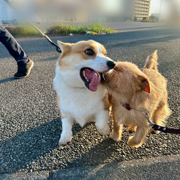 9fd571b8 649c 4853 819d a1c06b843fd2 1728798690333