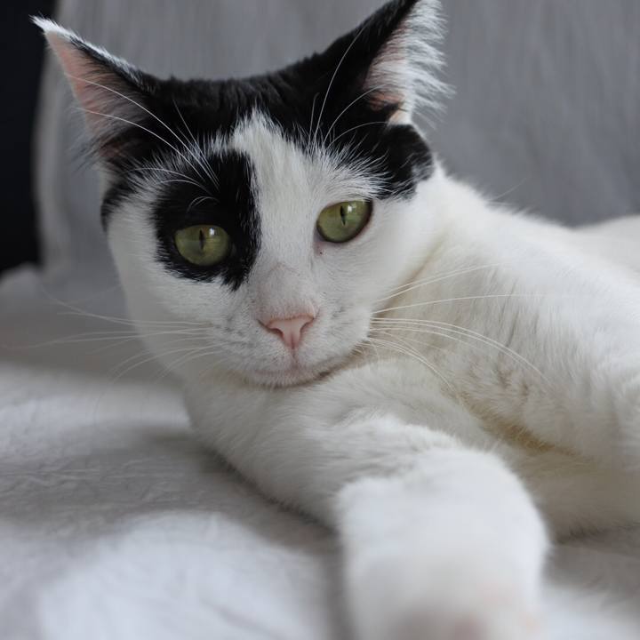 9fd5a124 e686 4288 8fc2 adae8baab514 1698117004478