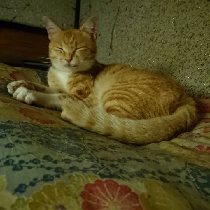 9fd5c9e9 e944 4478 b601 ab3288528e9f 1595073736989