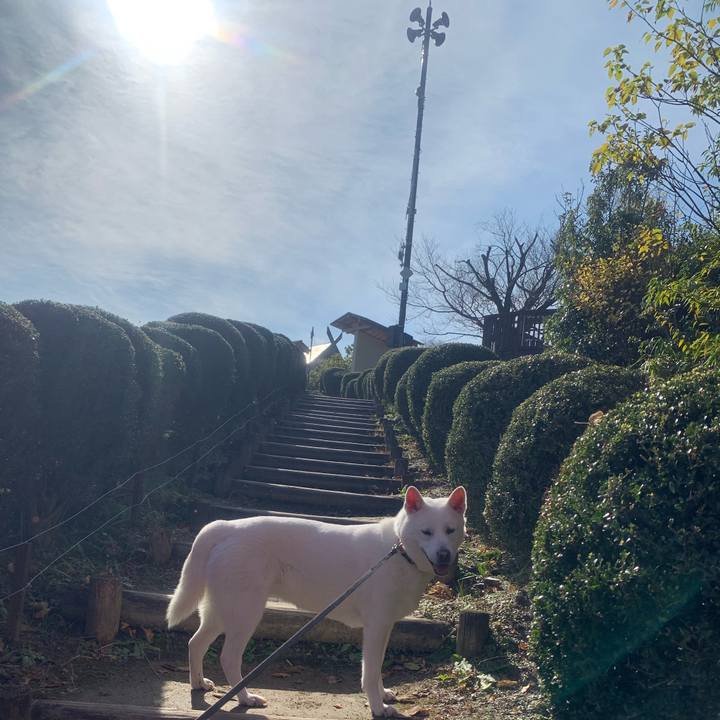 9fd5ed36 9dfe 41c9 ab8d f7d66a960d05 1542542167746