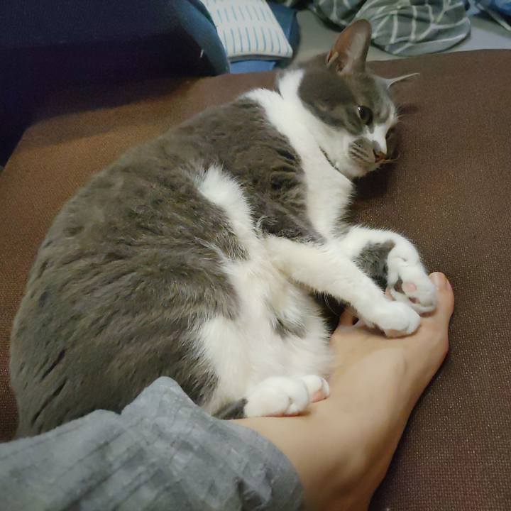 9fd5f501 62a3 453b 9f6f 06ab846931a1 1712570593344