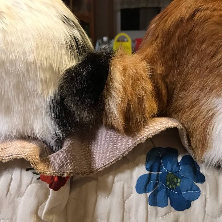 9fd5f97e 0b8f 4a3e 9989 db0ab29679c9 1573908483520