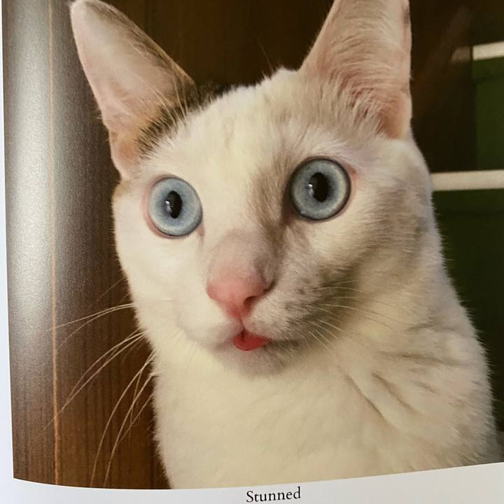 9fd5ffd6 dd16 4b1e 86fb d8bb18f8ac60 1663798617370