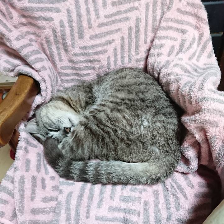 9fd6138a 162a 402d b096 ef07201e7c0b 1590279790786