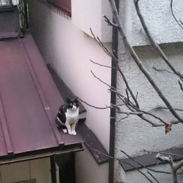 9fd61d97 3e6c 4edb 9af8 47e405473421 1518337548546