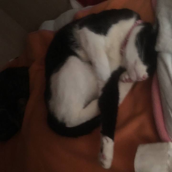 9fd64e8b 77a9 4498 9259 4d5177914b26 1553219115102