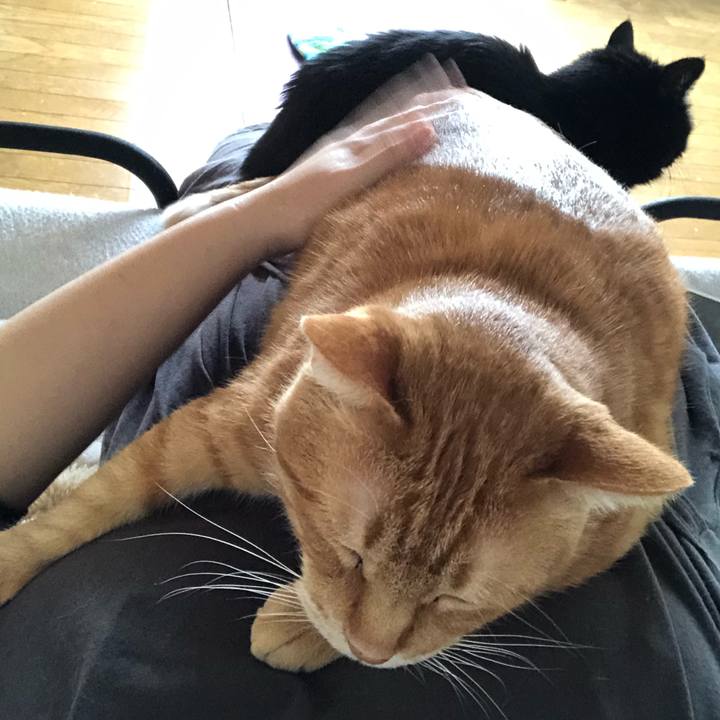 9fd65b35 acb3 464f 8a63 ece55835b337 1605934474107