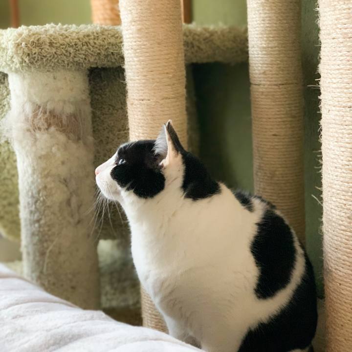 9fd66049 0dc0 4cb0 8bac 23d50d7b80b1 1581472536524