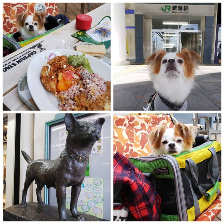 9fd67138 182c 438f 8c5d 39d24915711b 1539407113467