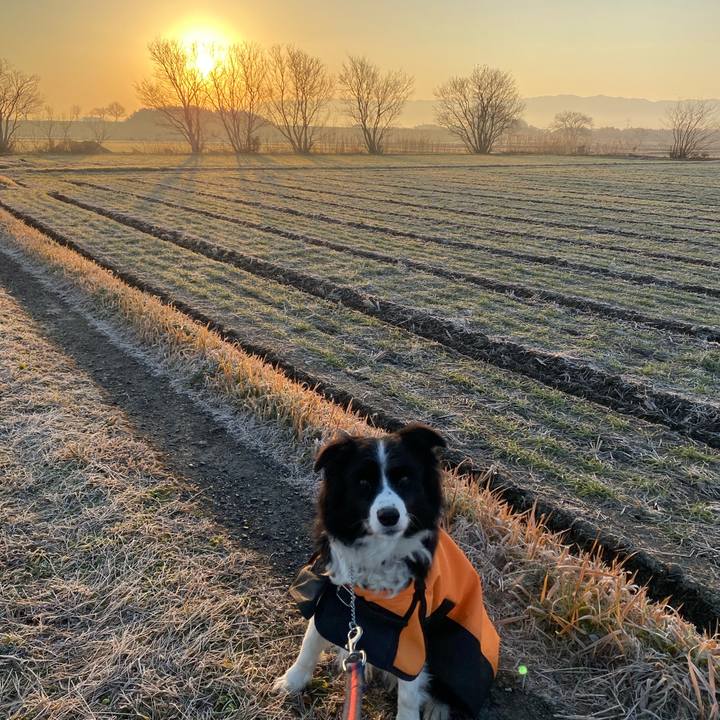 9fd68095 1da4 46b0 b063 1220981d330a 1611184315480