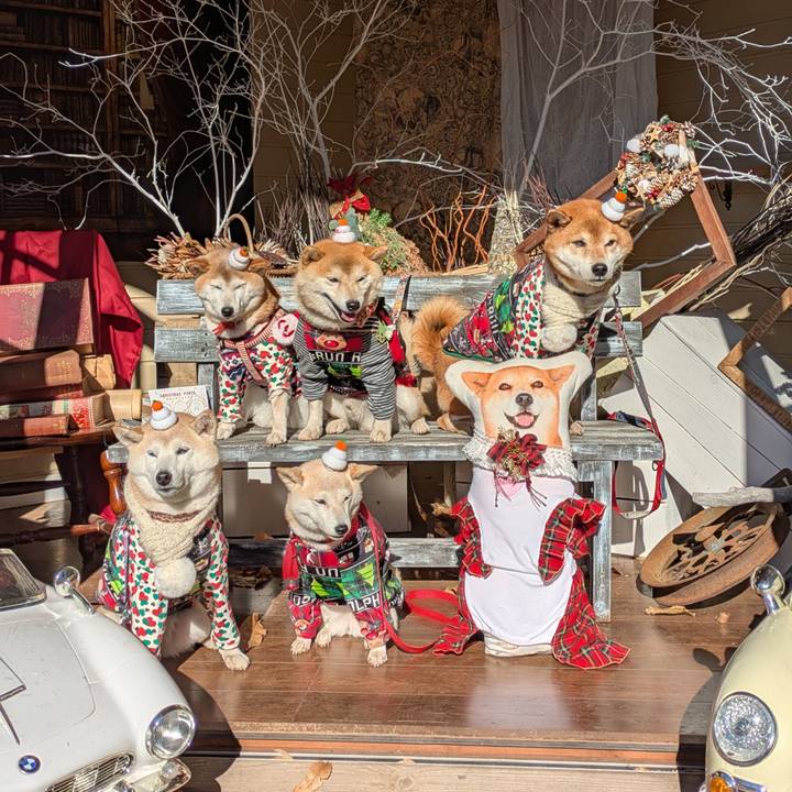 9fd684c2 50c4 491b a2a1 9db21db922a5 1734922795089