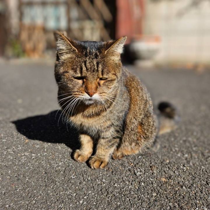 9fd68d2e ab48 4ea2 8fc4 87c098fcb39e 1701496130216