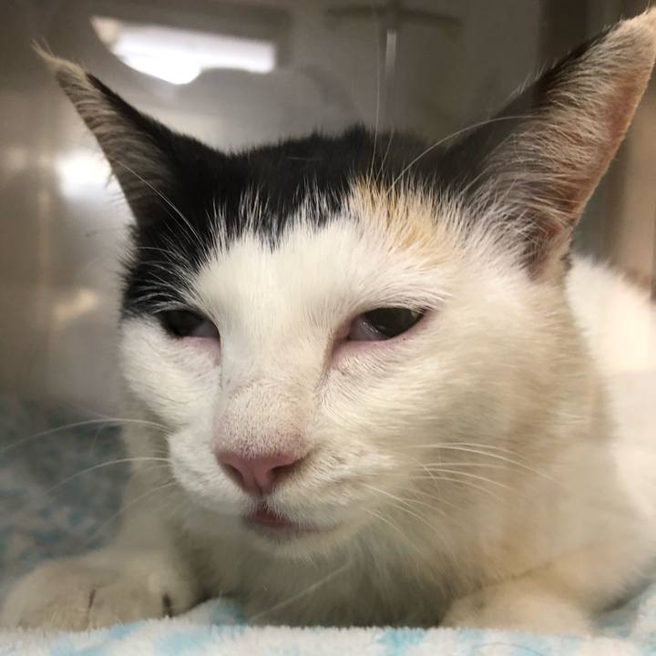 9fd696a1 211b 49f1 b900 773ce7878c0b 1621164939774