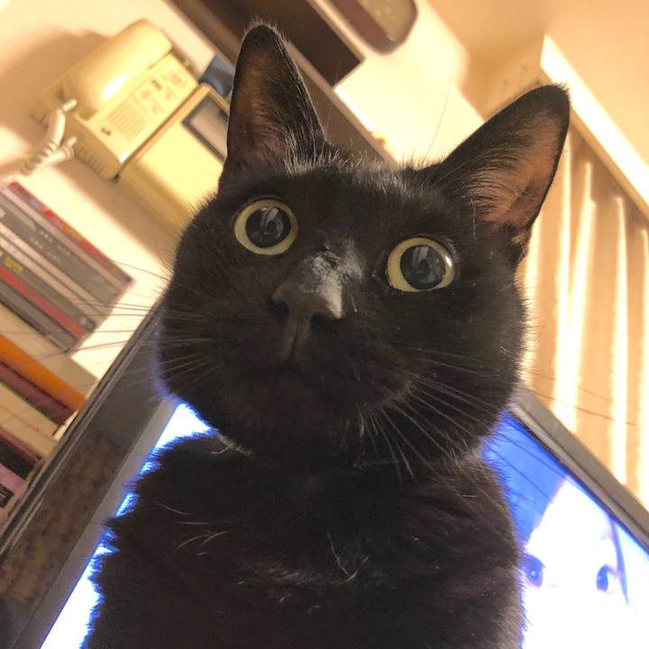 9fd69d94 fc76 4347 8386 c533f70fb6ce 1573309705364