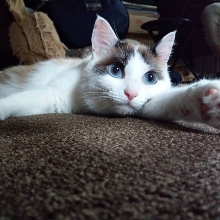 9fd6a03f 2dfd 4b9c 8452 77d9157efe79 1624080019886