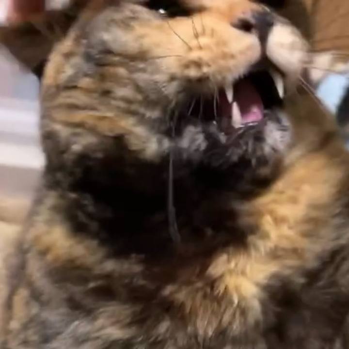 9fd6aa52 a1d2 4245 b98d d2dd503b6b5b 1737538851061