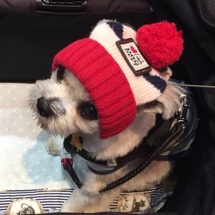 9fd6ae03 b9d3 41b2 b6c1 a4d3a9c5f3e5 1540814065263