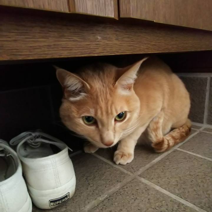 9fd6b066 8f9e 4fb9 b065 66178105d2ac 1605230842885